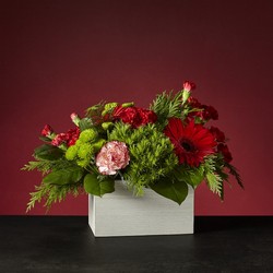 Holly Jolly Bouquet -A local Pittsburgh florist for flowers in Pittsburgh. PA